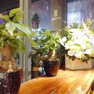 Tổng hợp- Kafein House - Coffee & Tea - Đỗ Quang Đẩu