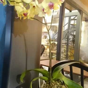 Tổng hợp- Cafe Katinat Saigon Kafe - Đồng Khởi