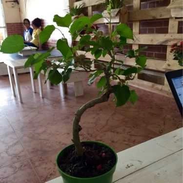 Tổng hợp- Chai - Kem & Cafe - Đường D3