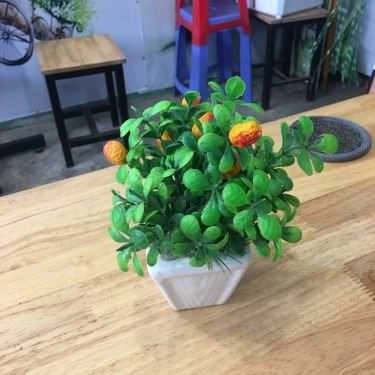 Tổng hợp- Cafe Kem Dừa Thái - Thống Nhất