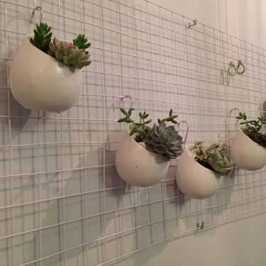 Tổng hợp- Cafe Ken Ken Tea House