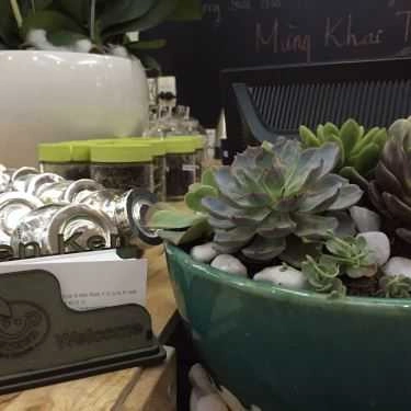 Tổng hợp- Cafe Ken Ken Tea House