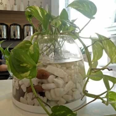 Tổng hợp- Cafe Kenshin Tea - Hòa Bình