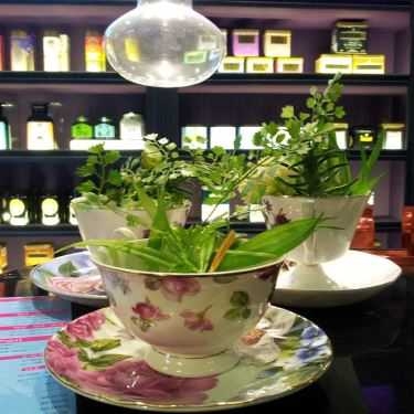 Tổng hợp- Cafe Khanh Casa Tea House - Đồng Khởi