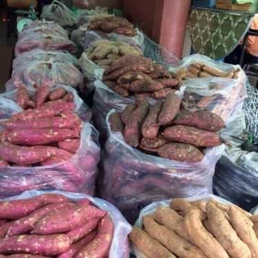 Tổng hợp- Khoai Lang Mật Đà Lạt - Shop Online