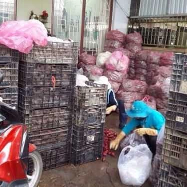 Tổng hợp- Khoai Lang Mật Đà Lạt - Shop Online