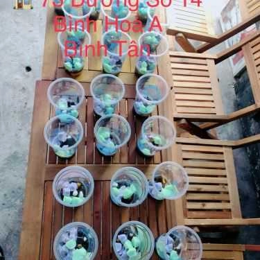 Tổng hợp- Cafe Khôi Tea - Trà Sữa Sạch