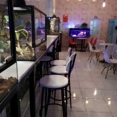 Tổng hợp- Cafe Kim O Long - Tea & Food Express - Hồng Đức