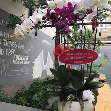 Tổng hợp- Kim's House Tea & Cafe