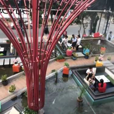 Tổng hợp- Koilands Coffee