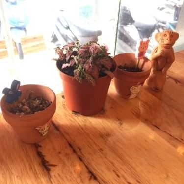 Tổng hợp- Cafe Kokopelli Cupfee And Tarot