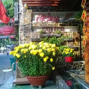 Tổng hợp- La Rose Coffee