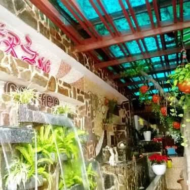 Tổng hợp- La Rose Coffee