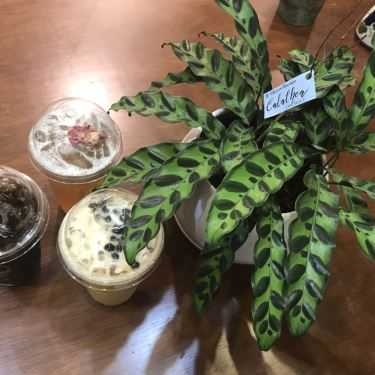 Tổng hợp- Cafe LaTra Tea House