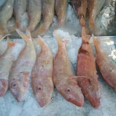 Tổng hợp- Quán Nhậu Lagi Quán - Lẩu & Nướng Hải Sản