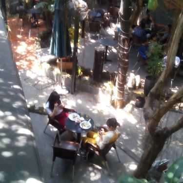 Tổng hợp- Lam Sơn Cafe