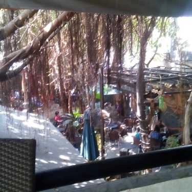 Tổng hợp- Lam Sơn Cafe
