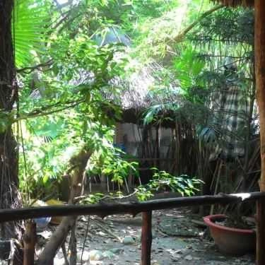 Không gian- Lãng Du Cafe - Nguyễn Hữu Cầu