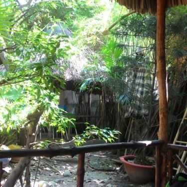 Không gian- Lãng Du Cafe - Nguyễn Hữu Cầu
