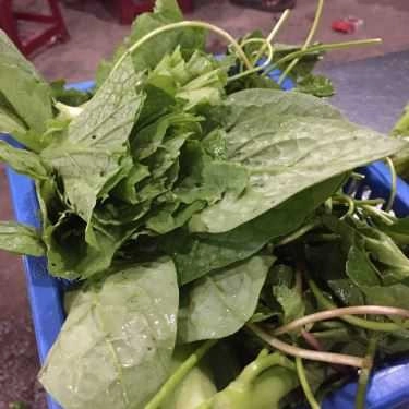 Món ăn- Quán Nhậu Lẩu Bò Ba Đuônl