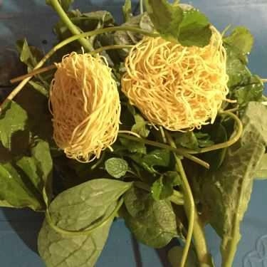 Món ăn- Quán Nhậu Lẩu Bò Hẻm 616
