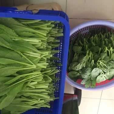 Tổng hợp- Quán Nhậu Lẩu Bò Mang Về