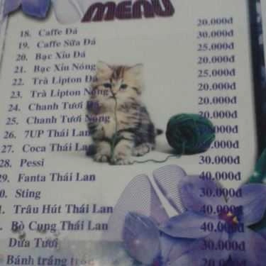 Thực đơn- Lâu Đài Mèo Cafe - Milktea - Quốc Lộ 22