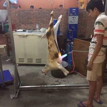 Tổng hợp- Quán Nhậu Yên Hồng Quang - Đặc Sản Dê Núi