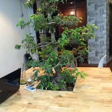 Tổng hợp- Launch Coffee