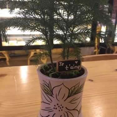 Tổng hợp- Tiệm Bánh Le Petit Roland - Cafe & Bánh Pháp