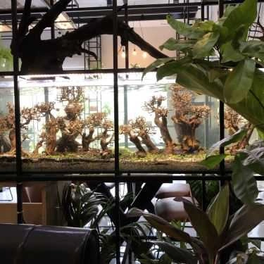 Không gian- LeO Café - City Land