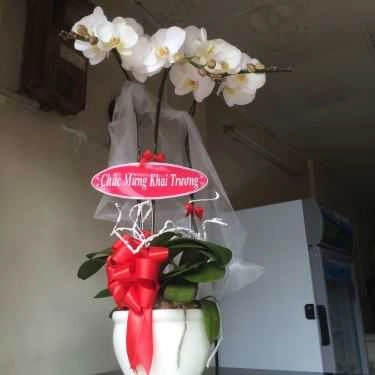 Tổng hợp- Tiệm Bánh Lib Bakery