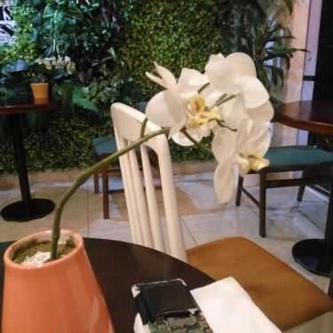 Tổng hợp- Louis's Coffee