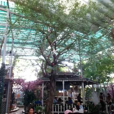 Tổng hợp- Love Garden Coffee