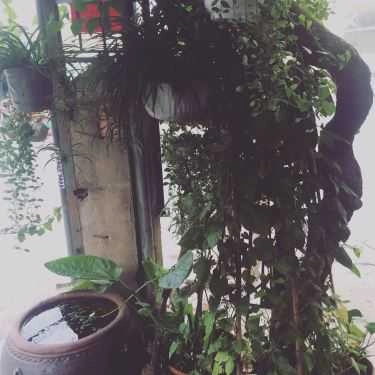 Không gian- LU Cafe - Phạm Văn Xảo