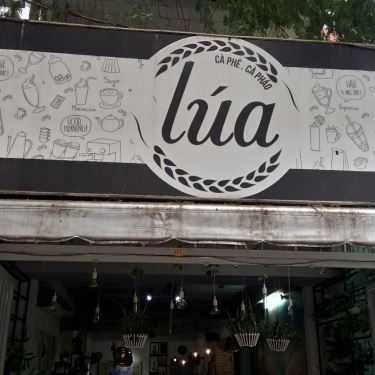 Tổng hợp- Lúa Coffee