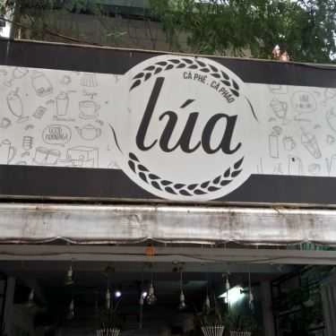 Tổng hợp- Lúa Coffee