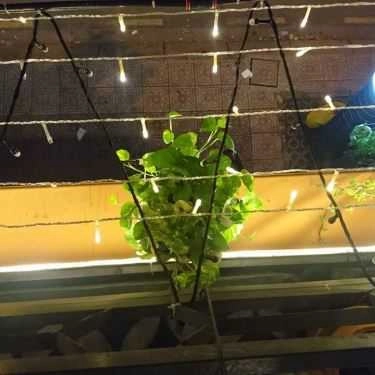 Tổng hợp- Lục Cafe