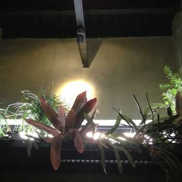 Tổng hợp- M2C Cafe - Modern Meets Culture