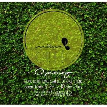 Tổng hợp- Mầm Cafe