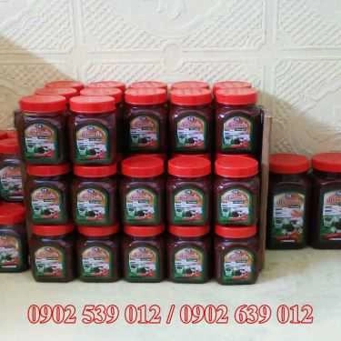 Tổng hợp- Ăn vặt Xoài Non Mắm Ruốc TH - Bùi Thị Xuân