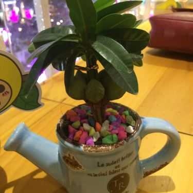 Tổng hợp- Cafe Mango Tree - Nguyễn Huệ
