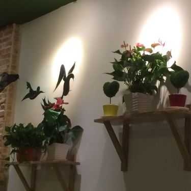 Tổng hợp- Cafe Mango Tree - Nguyễn Huệ