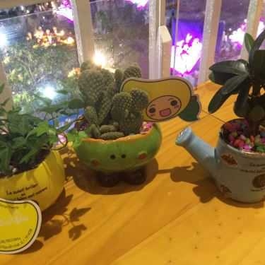 Tổng hợp- Cafe Mango Tree - Nguyễn Huệ