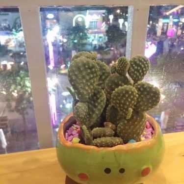 Tổng hợp- Cafe Mango Tree - Nguyễn Huệ