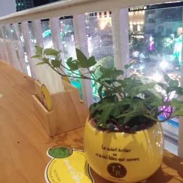 Tổng hợp- Cafe Mango Tree - Nguyễn Huệ