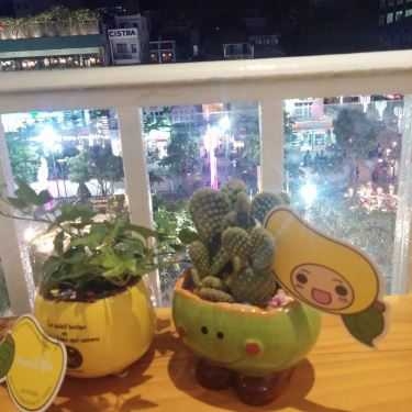 Tổng hợp- Cafe Mango Tree - Nguyễn Huệ