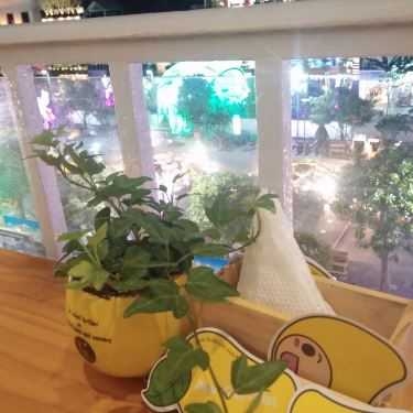 Tổng hợp- Cafe Mango Tree - Nguyễn Huệ