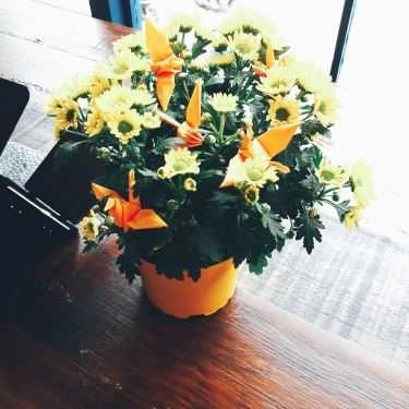 Tổng hợp- Maté - Cafe & Trà Sữa
