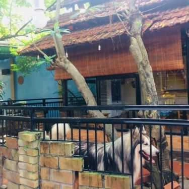 Tổng hợp- May Coffee House